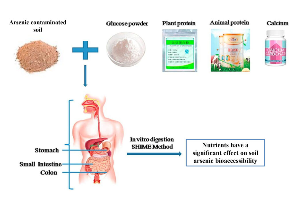 Graphical Abstract